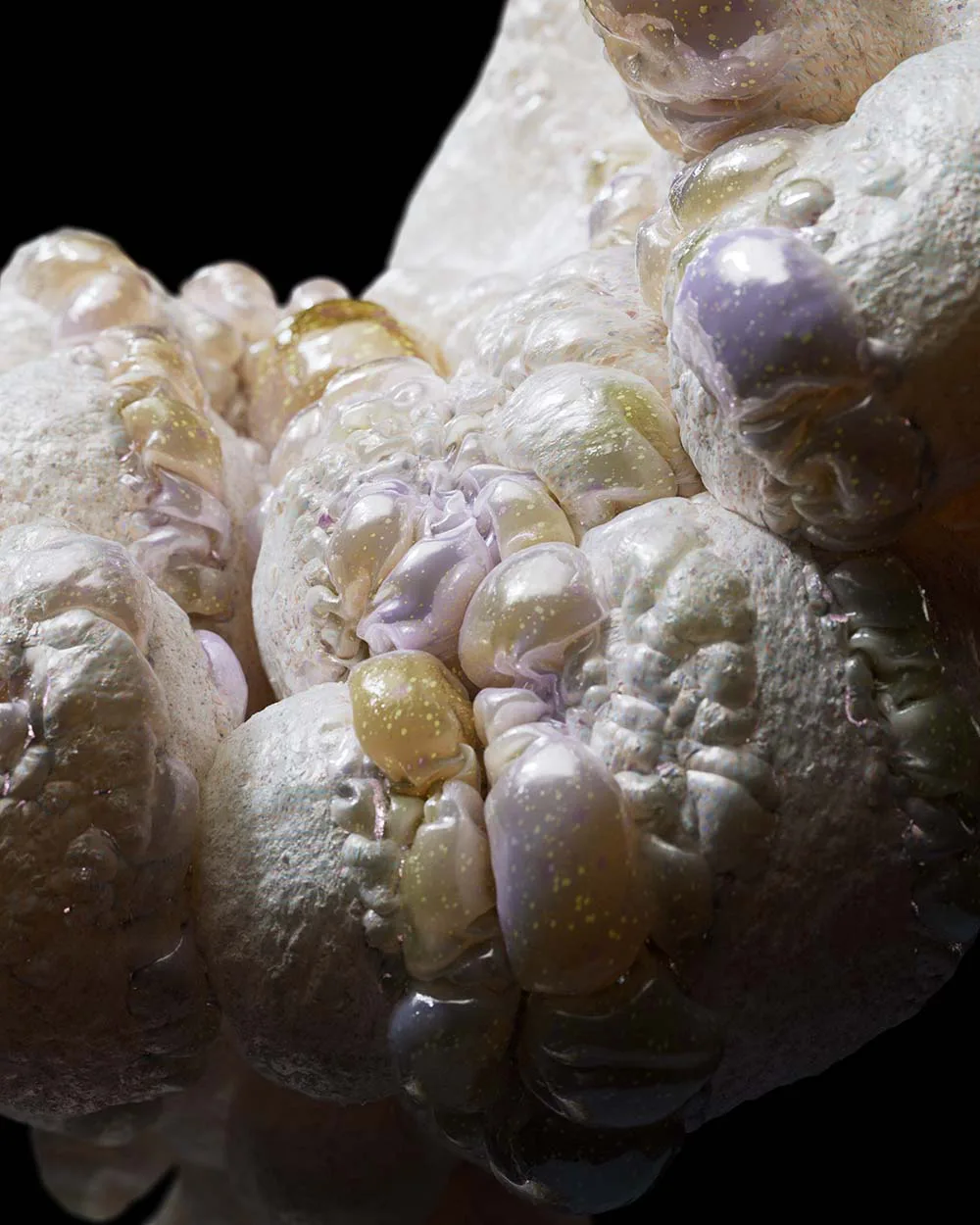 BLOB_SHAPE_VERTEX_01_0129